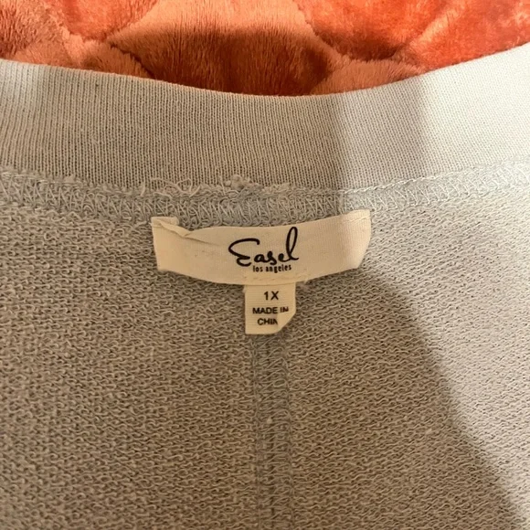 easel Light Gray V-Neck Tunic with Pastel Floral Appliqués - Picture 5 of 5